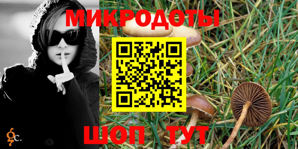Лениногорск  Псилоцибиновые грибы мухоморы  Галлюциногенные грибы Psilocybe  что такое наркотик  Вход с VPN 