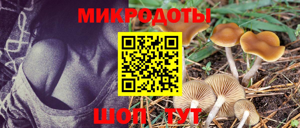Псилоцибиновые грибы прущие грибы Лениногорск
